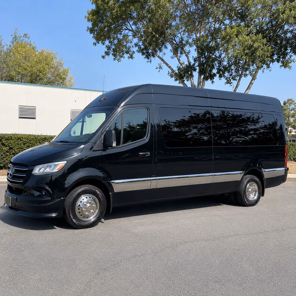 clearwater prom transportation