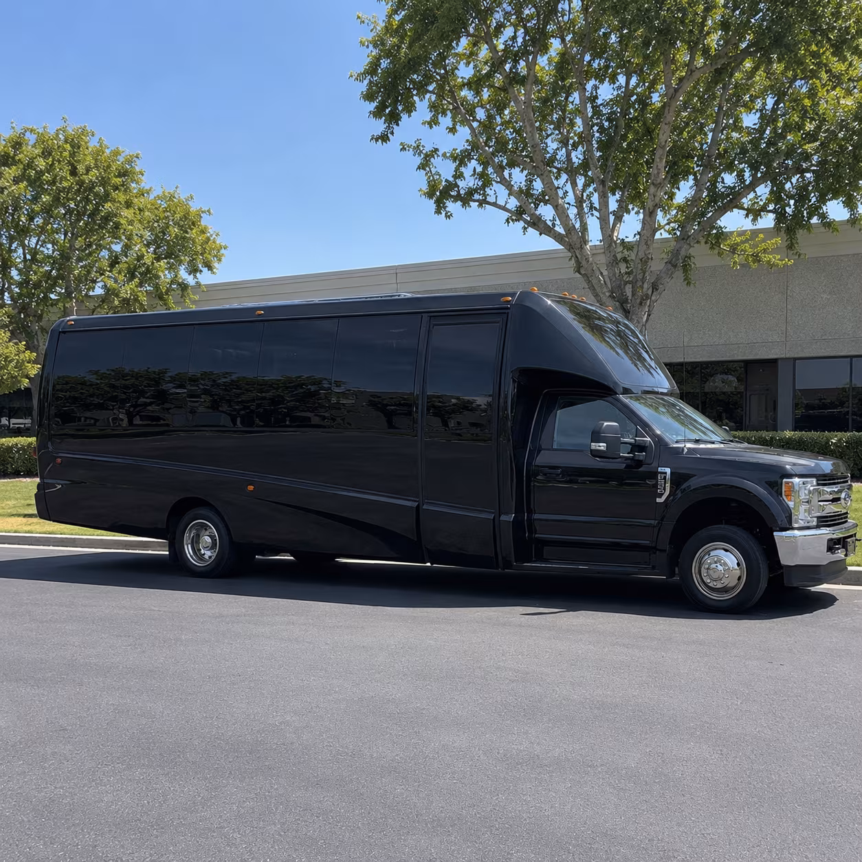 party buses and charter buses to tampa bay rays games at tropicana field